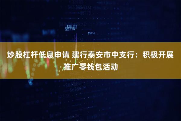 炒股杠杆低息申请 建行泰安市中支行：积极开展推广零钱包活动