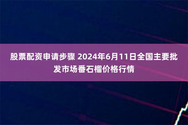 股票配资申请步骤 2024年6月11日全国主要批发市场番石榴价格行情